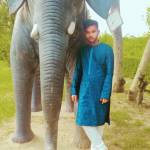 Omar Faruk Kader Profile Picture