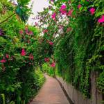 Mitul Bai Profile Picture