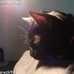 Ruben Will Profile Picture