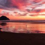 Roxane Pfeffer Profile Picture