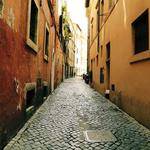 Jamaal Donnelly Profile Picture