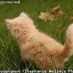 Cassandre Casper Profile Picture