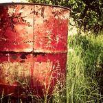 Emil Lynch Profile Picture