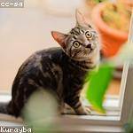 Micheal Fisher Profile Picture