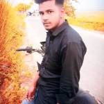 Md Tarikul Profile Picture