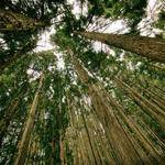 Mike Hill Profile Picture