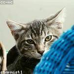 Amari Ortiz Profile Picture