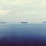 Lily Brekke Profile Picture