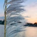 sd subrato Profile Picture