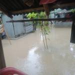 Alex Jahid Profile Picture