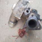 Rabbi Ahmed Profile Picture