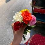 Taslima Akter Profile Picture