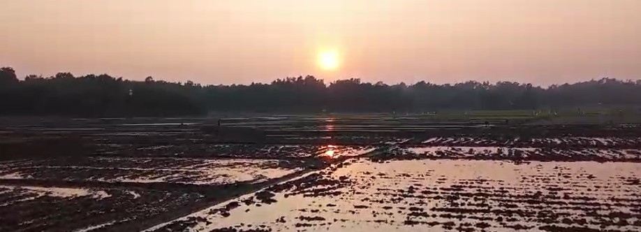 Bijoy Kumar Mutsuddy Cover Image