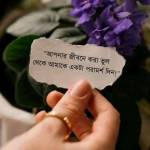 shariful Isla Profile Picture