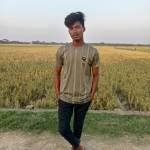 Shuvo Roy Profile Picture