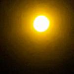 Md Rahim Profile Picture