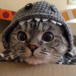 orpita saha profile picture