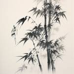 mould qhpreform profile picture