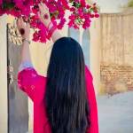 Saty Rahman profile picture