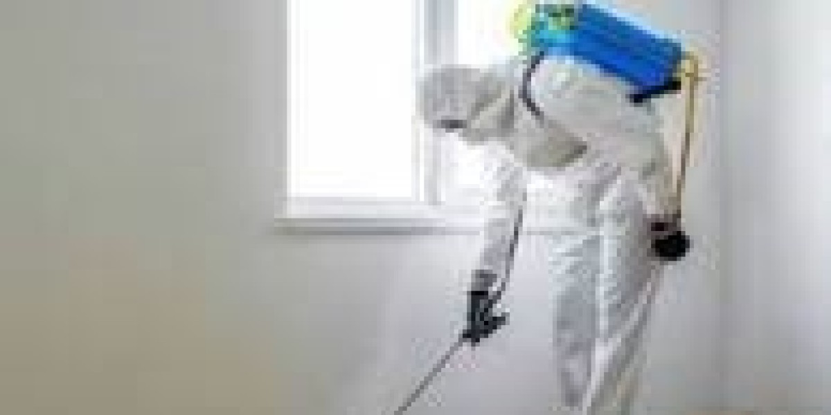 Effective Rodent Control Solutions for NYC Homes and Businesses