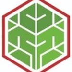The Packaging Tree Profile Picture