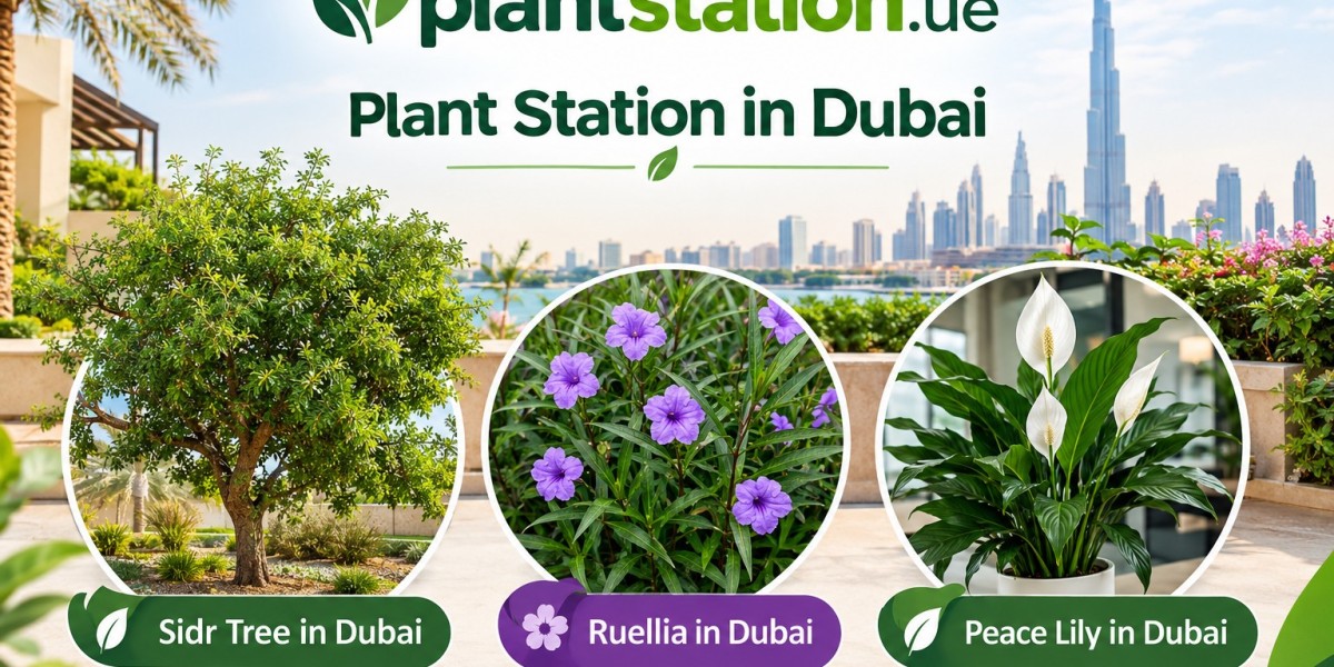 Plants and Landscaping in Dubai: A Complete Guide to Date Palms, Bamboo, Neem Trees, and Pebbles & Gravel