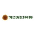 Quality Tree Service Concord Profile Picture